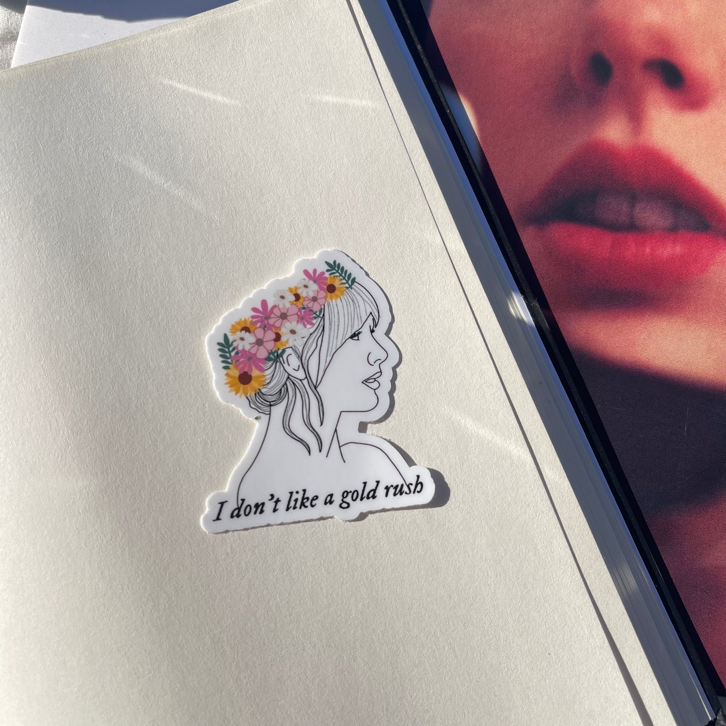 Taylor Swift stickers
